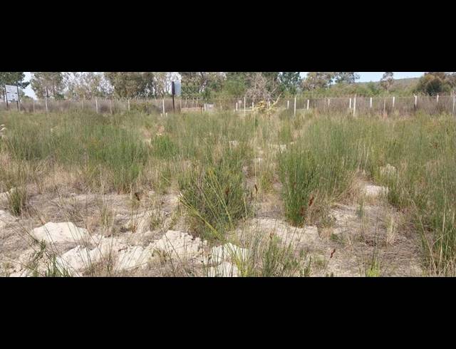 LAND FOR SALE IN ALBERTINIA